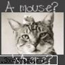:rotfl: animale