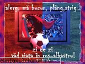 a castigat steaua nu ia ban nimeni va dau admin la toti cupa uefa